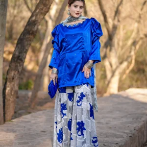 Aaraish Festive: Cobalt Bloom Gharara Set